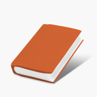 Radiergummi Buch ORANGE